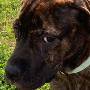 Meet your Posher, Emma